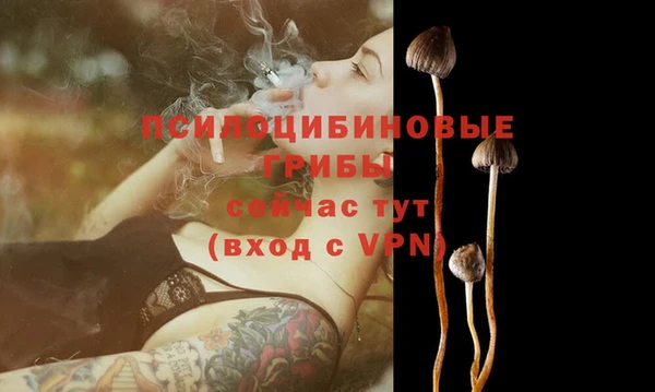 стаф Красноперекопск