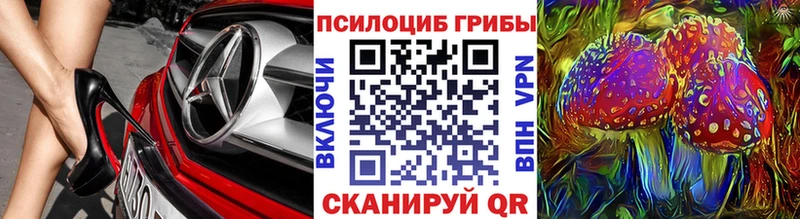 Псилоцибиновые грибы Magic Shrooms  что такое   Энем 